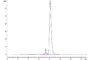 Size-exclusion chromatography-High Pressure Liquid Chromatography (SEC-HPLC) image for Poliovirus Receptor-Related Immunoglobulin Domain Containing (PVRIG) (AA 41-171) protein (Fc Tag) (ABIN7275505)