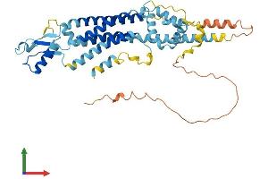 Protein Structure (PS) image for Pannexin 1 (PANX1) (AA 1-426) protein (His tag) (ABIN7561551)