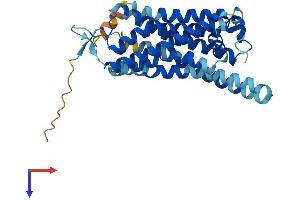 TAAR5 Protein (AA 1-337) (His tag)