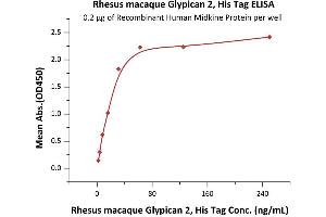 ELISA image for Glypican 2 (GPC2) (AA 24-552) (Active) protein (His tag) (ABIN6952277)