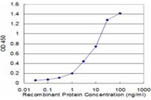 ELISA image for anti-Actin, alpha 2, Smooth Muscle, Aorta (ACTA2) (AA 1-377) antibody (ABIN559755)