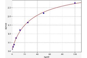 Serum Amyloid A2 (SAA2) ELISA Kit