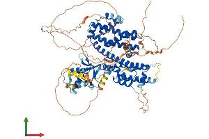 Protein Structure (PS) image for Regulatory Factor X 2 (RFX2) (AA 1-717) protein (His tag) (ABIN7563312)