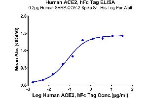 ELISA image for Angiotensin I Converting Enzyme 2 (ACE2) (AA 18-740) protein (Fc Tag) (ABIN7273792)