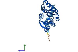 Protein Structure (PS) image for Catechol-O-Methyltransferase (COMT) (AA 1-271) protein (His tag) (ABIN7546604)