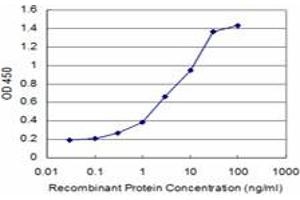 Detection limit for recombinant GST tagged BRAF is approximately 0.
