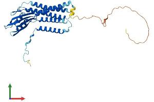 Protein Structure (PS) image for Dual Oxidase Maturation Factor 1 (DUOXA1) (AA 1-341) protein (His tag) (ABIN7559886)
