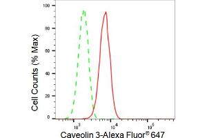 Flow cytometric analysis of Caveolin 3 expression in C2C12 cells using Caveolin 3 antibody (ABIN7797947), 1:2,000).