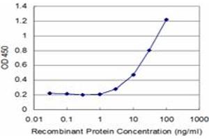 Detection limit for recombinant GST tagged SAFB2 is approximately 3ng/ml as a capture antibody. (SAFB2 抗体  (AA 103-199))