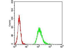 Flow Cytometry (FACS) image for anti-Neurofilament Triplet M Protein (NEFM) (AA 779-916) antibody (ABIN5542346)