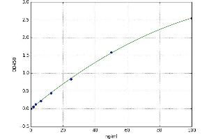 Asprosin ELISA Kit