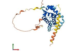 Protein Structure (PS) image for B-Cell CLL/lymphoma 2 (BCL2) (AA 1-236) protein (His tag) (ABIN7562825)
