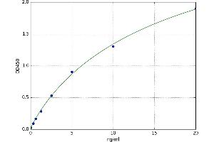 Proline Rich 4 (Lacrimal) (PRR4) ELISA Kit