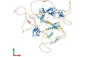 Protein Structure (PS) image for RNA Binding Motif Protein 10 (RBM10) (AA 1-930) protein (His tag) (ABIN7555150)