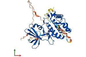 Protein Structure (PS) image for Tribbles Pseudokinase 2 (TRIB2) (AA 1-343) protein (His tag) (ABIN7559575)
