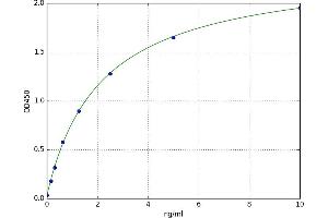 A typical standard curve (CXCL16 ELISA 试剂盒)