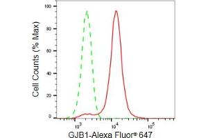 anti-Gap Junction Protein, beta 1, 32kDa (GJB1) antibody