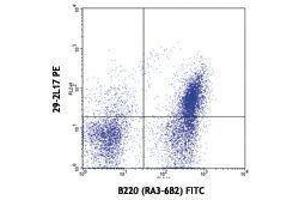 Flow Cytometry (FACS) image for anti-Chemokine (C-C Motif) Receptor 6 (CCR6) antibody (PE) (ABIN2663127) (CCR6 抗体  (PE))