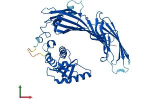 Protein Structure (PS) image for Adaptor-Related Protein Complex 1, mu 2 Subunit (AP1m2) (AA 1-423) protein (His tag) (ABIN7556331)
