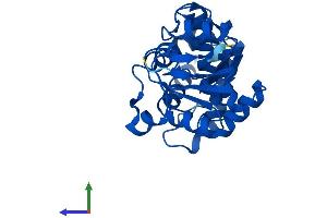 Protein Structure (PS) image for Enolase-Phosphatase 1 (ENOPH1) (AA 1-257) protein (His tag) (ABIN7558542)