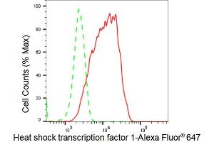 Flow cytometric analysis of Heat shock transcription factor 1 expression in HepG2 cells using Heat shock transcription factor 1 antibody (ABIN7798861), 1:2,000).