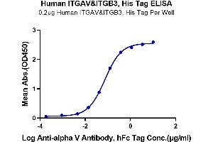 ELISA image for Integrin alpha V, Integrin beta 3 (ITGAV/ITGB3) (AA 31-992) protein (His-Avi Tag) (ABIN7275059)