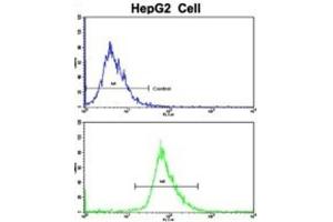 Flow Cytometry (FACS) image for anti-Ribosomal Protein S15 (RPS15) antibody (ABIN3002876) (RPS15 抗体)