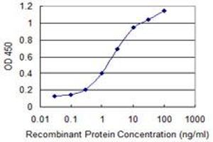 Detection limit for recombinant GST tagged TFEC is 0. (TFEC 抗体  (AA 1-89))
