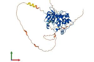 Protein Structure (PS) image for Aurora Kinase A (AURKA) (AA 1-395) protein (His tag) (ABIN7563554)