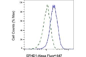 Validation of EFHD1 knockdown using flow cytometry. (EFHD1 抗体)