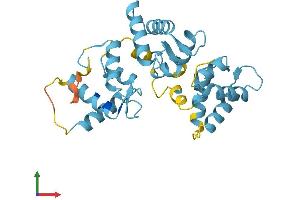 Protein Structure (PS) image for Calbindin 2 (CALB2) (AA 1-271) protein (His tag) (ABIN7556921)