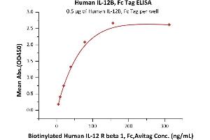 Immobilized Human IL-12B, Fc Tag (ABIN2181332,ABIN3071756,ABIN6810015) at 5 μg/mL (100 μL/well) can bind Biotinylated Human IL-12 R beta 1, Fc,Avitag (ABIN6731329,ABIN6809867) with a linear range of 5-40 ng/mL (QC tested).