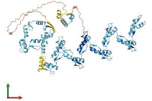 AlphaFold protein structure predicition of Human Recombinant ZNF585A Protein, UniprotID Q6P3V2