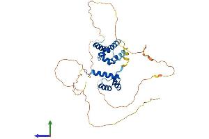 Protein Structure (PS) image for POU Domain, Class 3, Transcription Factor 4 (POU3F4) (AA 1-361) protein (His tag) (ABIN7550945)