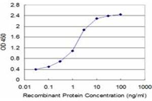 Detection limit for recombinant GST tagged SPTBN2 is approximately 0. (Spectrin, Beta, Non-erythrocytic 2 (SPTBN2) (AA 643-720) 抗体)