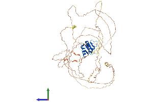 AlphaFold protein structure predicition of Mouse Recombinant Elf4 Protein, UniprotID Q9Z2U4 (Elf4 Protein (AA 1-655) (His tag))