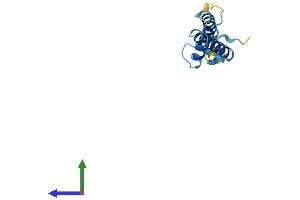 Protein Structure (PS) image for Chromosome 20 Open Reading Frame 30 (C20orf30) (AA 1-120) protein (His tag) (ABIN7544690)
