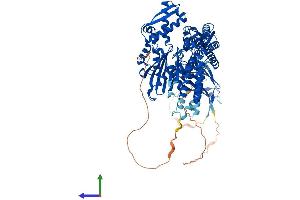 Protein Structure (PS) image for Heat Shock 70kDa Protein 4 (HSPA4) (AA 1-841) protein (His tag) (ABIN7557691)