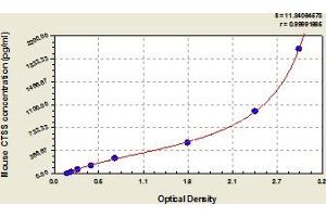 Cathepsin S ELISA 试剂盒