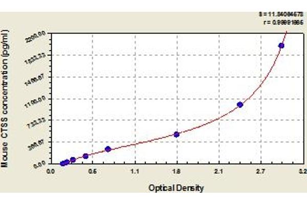 Cathepsin S ELISA 试剂盒