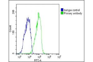 Overlay histogram showing HepG2 cells stained with (ABIN6242722 and ABIN6578815)(green line). (Glycogenin 1 抗体  (AA 314-347))