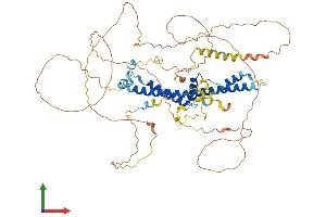 Protein Structure (PS) image for CREB3 Regulatory Factor (CREBRF) (AA 1-640) protein (His tag) (ABIN7559262)