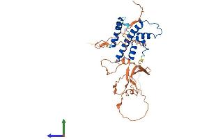 Protein Structure (PS) image for Nuclear Transcription Factor Y, gamma (NFYC) (AA 1-335) protein (His tag) (ABIN7556705)