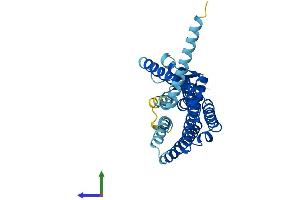 AlphaFold protein structure predicition of Mouse Recombinant Olfr141 Protein, UniprotID Q60880 (Olfr141 Protein (AA 1-325) (His tag))