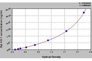 Typical Standard Curve (HMOX1 ELISA 试剂盒)
