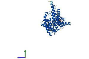 AlphaFold protein structure predicition of Human Recombinant SLC14A1 Protein, UniprotID Q13336