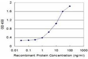 Detection limit for recombinant GST tagged SFN is approximately 0. (14-3-3 sigma/SFN 抗体  (AA 1-248))