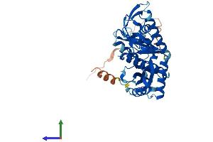 Protein Structure (PS) image for Mitochondrial Ribosomal Protein L39 (MRPL39) (AA 1-338) protein (His tag) (ABIN7551515)