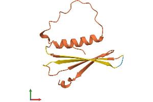 AlphaFold protein structure predicition of Human Recombinant RIG Protein, UniprotID Q13278