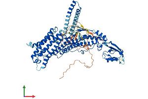 Protein Structure (PS) image for Rhophilin, rho GTPase Binding Protein 2 (RHPN2) (AA 1-686) protein (His tag) (ABIN7558971)